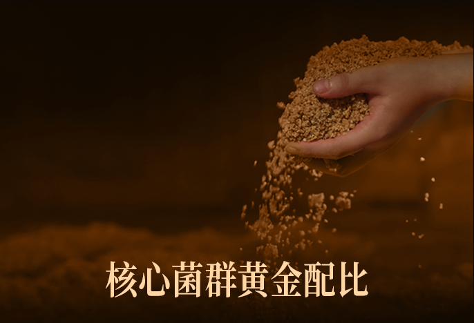 酱香密码配图